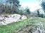 Immagine 12