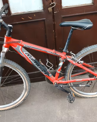 bicicletta mtb