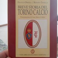 storia Torino calcio