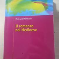 libro " Il romanzo nel Medioevo"