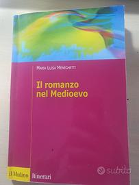 libro " Il romanzo nel Medioevo"