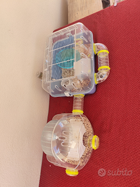 Gabbia parco giochi e criceto