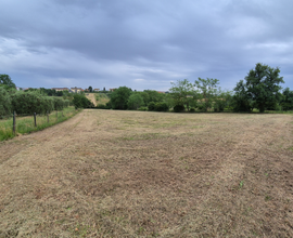 Terreno agricolo