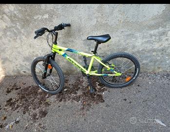 bicicletta 20 pollici verde