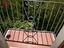 Immagine 22