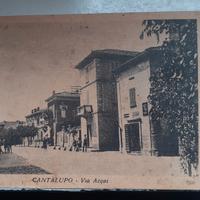 cartolina 
