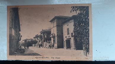 cartolina 