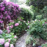 Appartamento con giardino