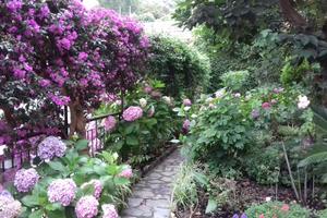 Appartamento con giardino