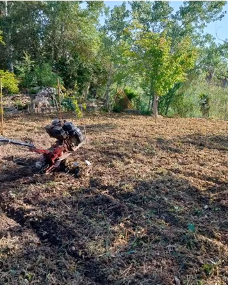 Motozappa lombardini