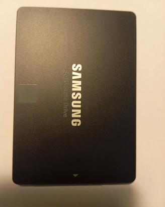 Disco Samsung SSD Evo 860 da 250gb