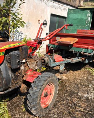 Motoagricola Benassi RL11R