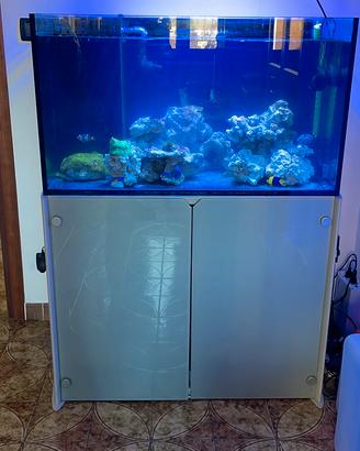 Acquario marino
