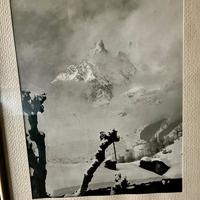 Collezione di 5 foto originali d’epoca