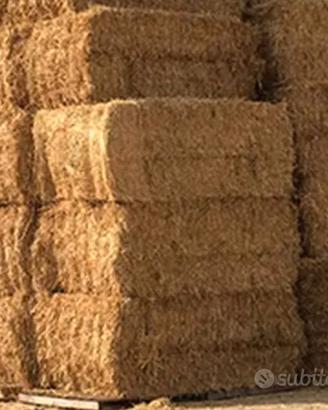 Paglia tritata