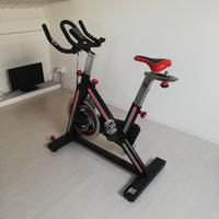 Fit bike FASSI R24 PRO
