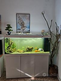 acquario juwel rio 450