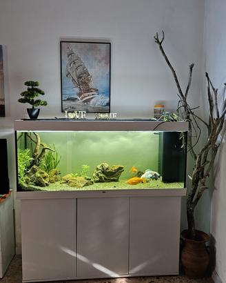 acquario juwel rio 450