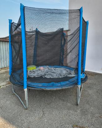 trampolino
