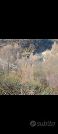 Terreno nel Cilento bellosguardo edificabile