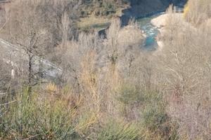 Terreno nel Cilento bellosguardo edificabile