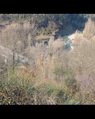 Terreno nel Cilento bellosguardo edificabile