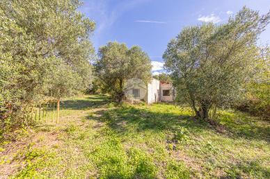 CASA INDIPENDENTE A SAN POLO DEI CAVALIERI