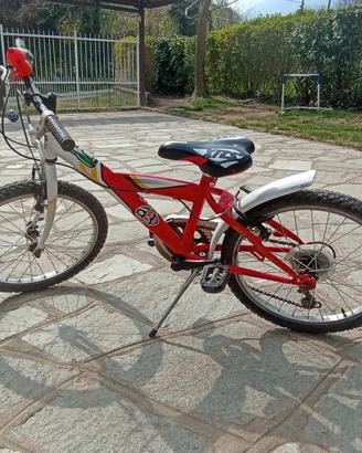 Bicicletta 