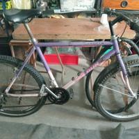 bicicletta mountain bike