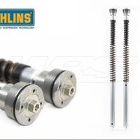 Kit Forcelle Ohlins e MONO Holins