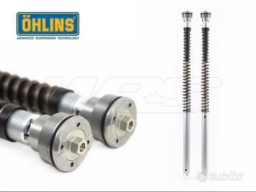 Kit Forcelle Ohlins e MONO Holins