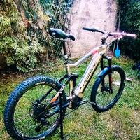 E Bilke HAIBIKE FULLSEVEN 4.O