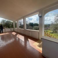 Villa con Trullo e 3000 m² di terreno - Putignano