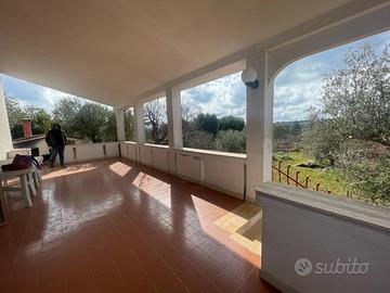 Villa con Trullo e 3000 m² di terreno - Putignano