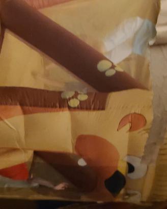 Gonfiabile con scivolo 