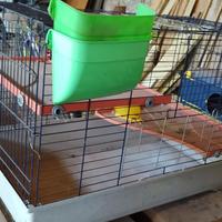 Gabbia per Cavie domestiche