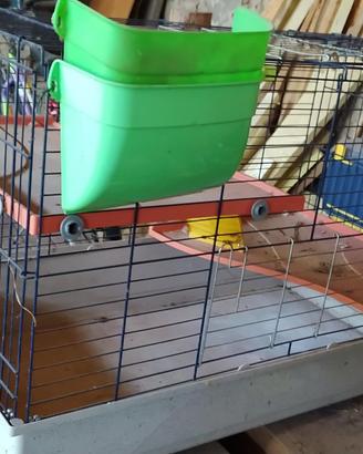 Gabbia per Cavie domestiche