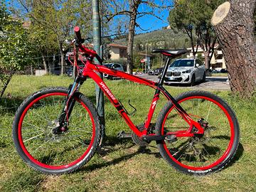 Mountain bike Specialized