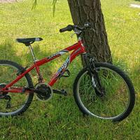 Bici MTB 24