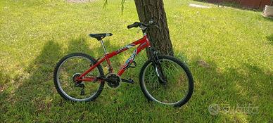Bici MTB 24