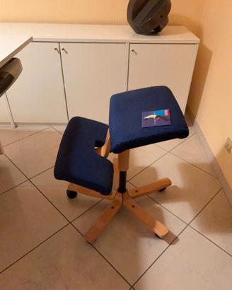 Sedia Ergonomica Varier Stokke