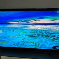 Sony Oled 65 pollici kd-65A8 BRAVIA 4K