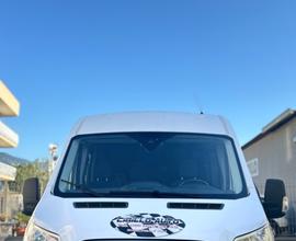 Ford Transit 2.0 Diesel 7 Posti Cassonato