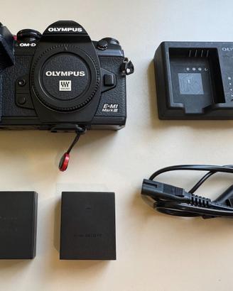 Olympus OM-D E-M1 Mark III - 2441 scatti