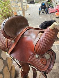 Sella americana natowa