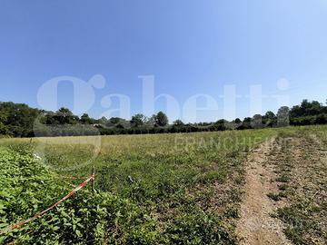 Terreno Agricolo Gallese [Cod. rif 3232736VCG]