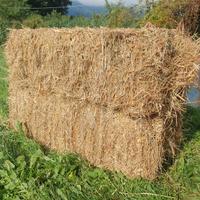 balle di fieno