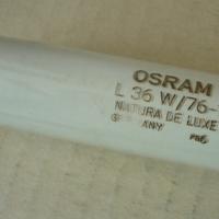 OSRAM Sylvania Lampada a fluorescenza L 36w/76-1 F