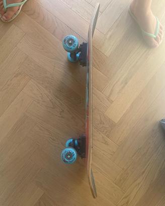 Skateboard