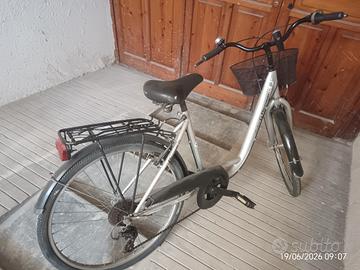 bicicletta donna raggio ruote 26 